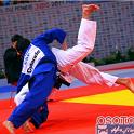 WCPARIS2011 90029